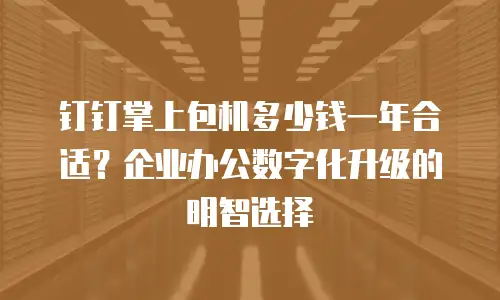 钉钉掌上包机多少钱一年合适？企业办公数字化升级的明智选择