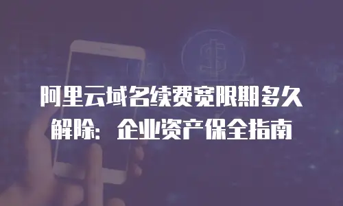 阿里云域名续费宽限期多久解除：企业资产保全指南