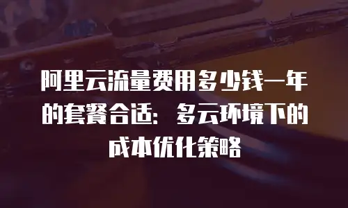 阿里云流量费用多少钱一年的套餐合适：多云环境下的成本优化策略
