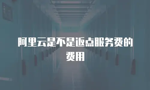 阿里云是不是返点服务费的费用