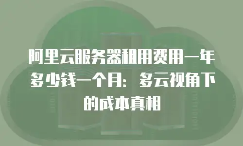阿里云服务器租用费用一年多少钱一个月：多云视角下的成本真相