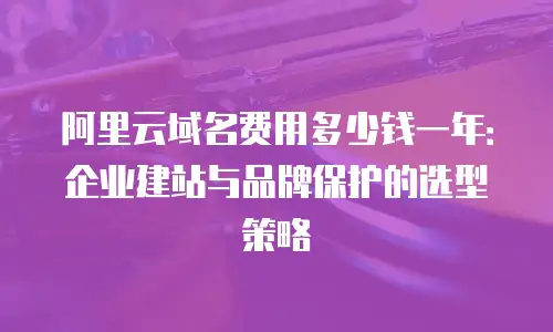 阿里云域名费用多少钱一年：企业建站与品牌保护的选型策略