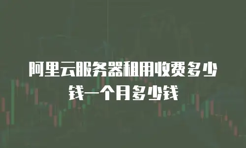 阿里云服务器租用收费多少钱一个月多少钱