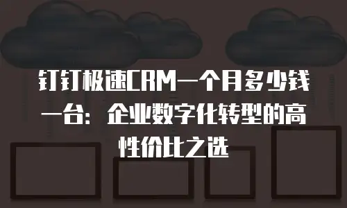 钉钉极速CRM一个月多少钱一台：企业数字化转型的高性价比之选