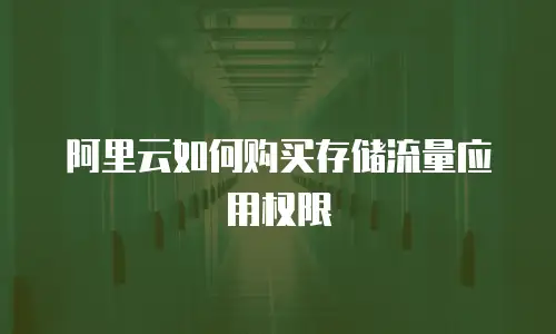 阿里云如何购买存储流量应用权限