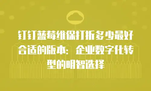 钉钉蓝莓维保打折多少最好合适的版本：企业数字化转型的明智选择