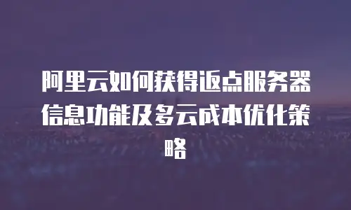 阿里云如何获得返点服务器信息功能及多云成本优化策略