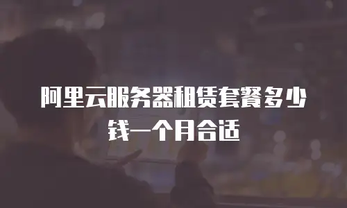 阿里云服务器租赁套餐多少钱一个月合适