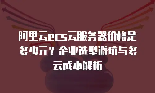 阿里云ecs云服务器价格是多少元？企业选型避坑与多云成本解析