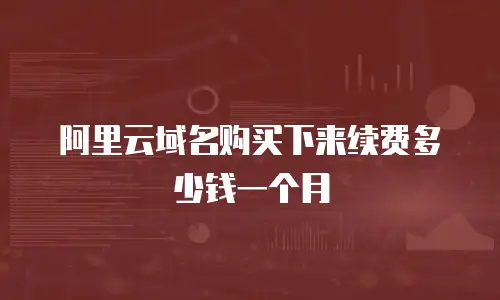 阿里云域名购买下来续费多少钱一个月