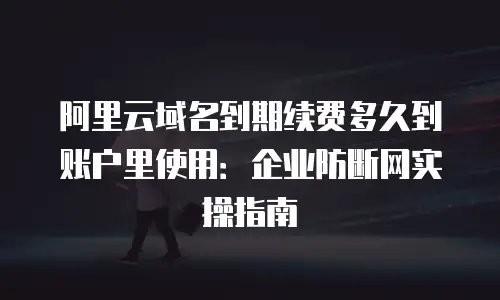 阿里云域名到期续费多久到账户里使用：企业防断网实操指南