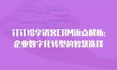 钉钉纷享销客CRM返点解析：企业数字化转型的智慧选择