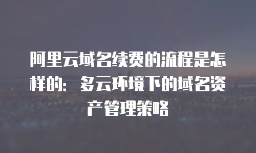 阿里云域名续费的流程是怎样的：多云环境下的域名资产管理策略