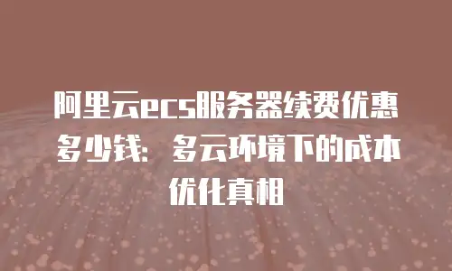 阿里云ecs服务器续费优惠多少钱：多云环境下的成本优化真相