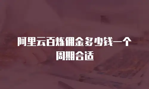 阿里云百炼佣金多少钱一个周期合适