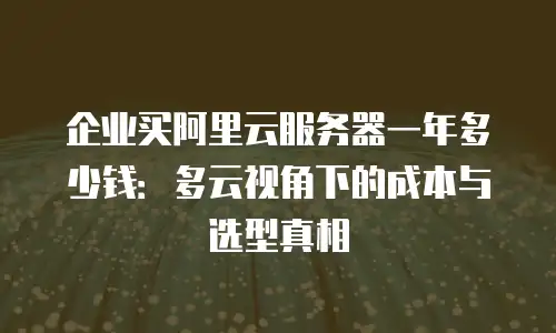 企业买阿里云服务器一年多少钱：多云视角下的成本与选型真相