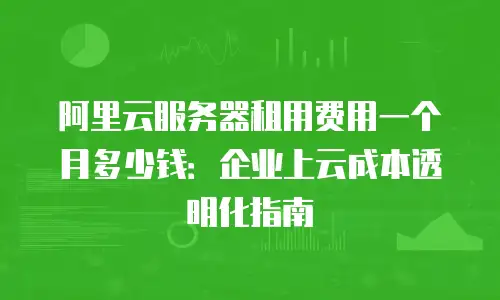 阿里云服务器租用费用一个月多少钱：企业上云成本透明化指南