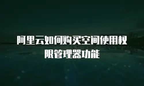 阿里云如何购买空间使用权限管理器功能