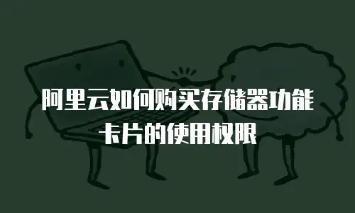 阿里云如何购买存储器功能卡片的使用权限