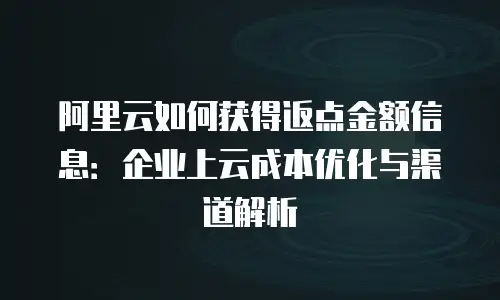 阿里云如何获得返点金额信息：企业上云成本优化与渠道解析