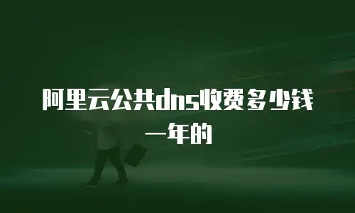 阿里云公共dns收费多少钱一年的