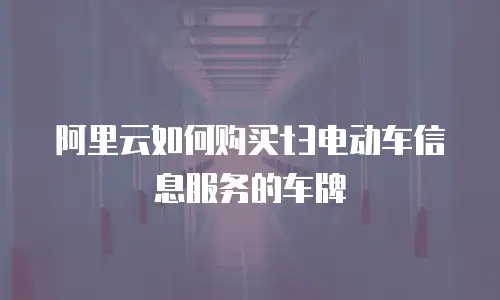 阿里云如何购买t3电动车信息服务的车牌