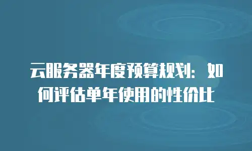 云服务器年度预算规划：如何评估单年使用的性价比