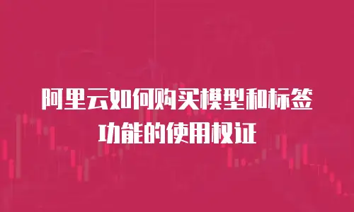阿里云如何购买模型和标签功能的使用权证