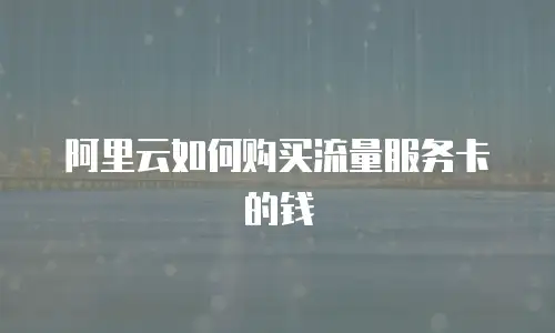 阿里云如何购买流量服务卡的钱