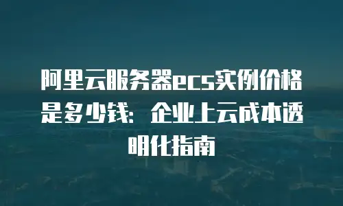 阿里云服务器ecs实例价格是多少钱：企业上云成本透明化指南