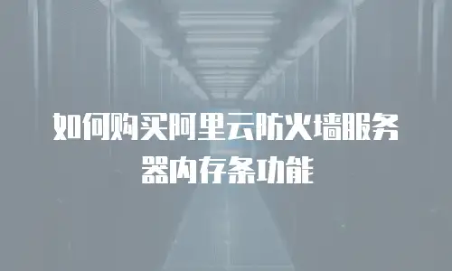 如何购买阿里云防火墙服务器内存条功能