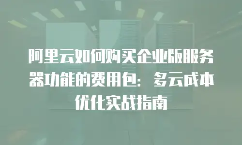 阿里云如何购买企业版服务器功能的费用包：多云成本优化实战指南