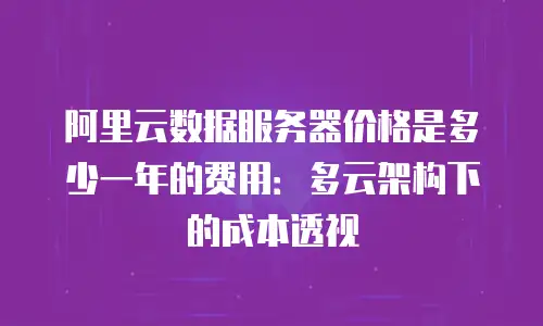 阿里云数据服务器价格是多少一年的费用：多云架构下的成本透视