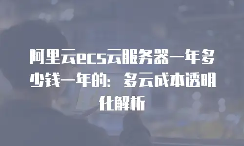 阿里云ecs云服务器一年多少钱一年的：多云成本透明化解析
