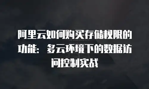 阿里云如何购买存储权限的功能：多云环境下的数据访问控制实战