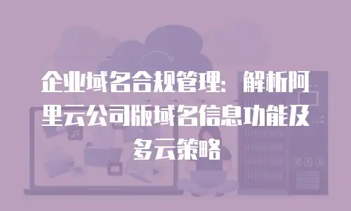 企业域名合规管理：解析阿里云公司版域名信息功能及多云策略