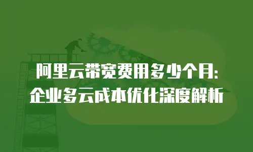阿里云带宽费用多少个月：企业多云成本优化深度解析