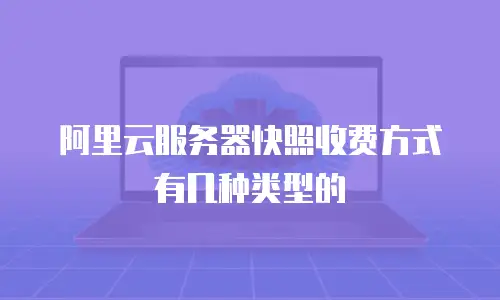 阿里云服务器快照收费方式有几种类型的