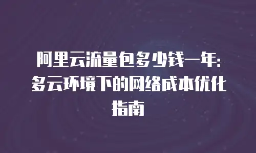 阿里云流量包多少钱一年：多云环境下的网络成本优化指南