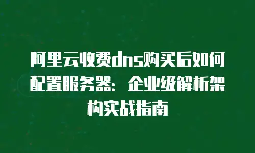 阿里云收费dns购买后如何配置服务器：企业级解析架构实战指南