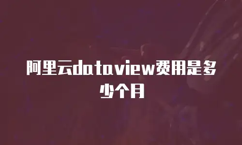 阿里云dataview费用是多少个月