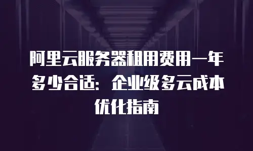 阿里云服务器租用费用一年多少合适：企业级多云成本优化指南