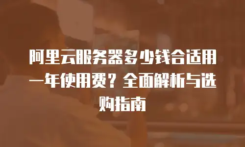 阿里云服务器多少钱合适用一年使用费？全面解析与选购指南