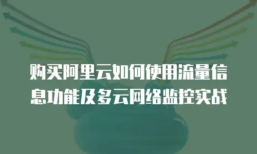 购买阿里云如何使用流量信息功能及多云网络监控实战