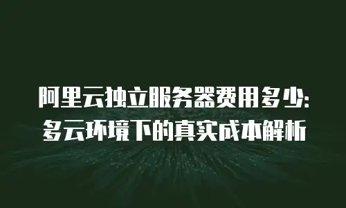 阿里云独立服务器费用多少：多云环境下的真实成本解析