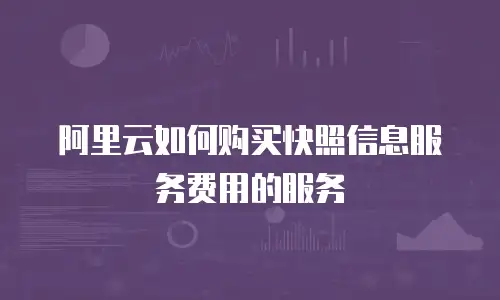 阿里云如何购买快照信息服务费用的服务