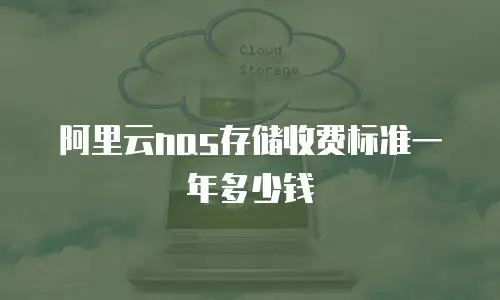 阿里云nas存储收费标准一年多少钱