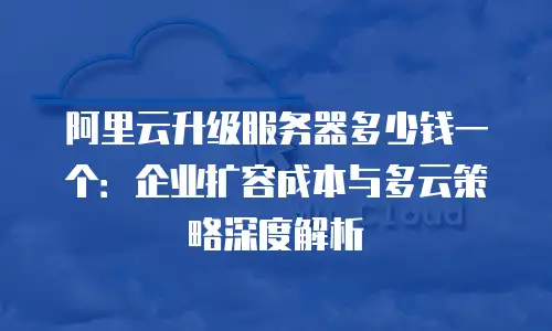 阿里云升级服务器多少钱一个：企业扩容成本与多云策略深度解析