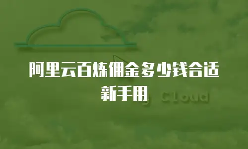 阿里云百炼佣金多少钱合适新手用
