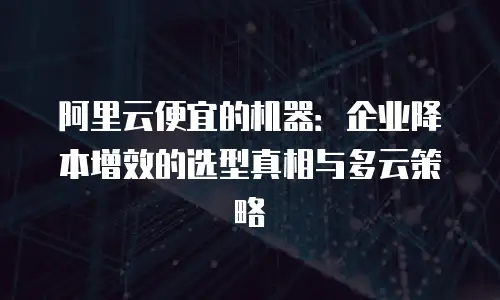 阿里云便宜的机器：企业降本增效的选型真相与多云策略